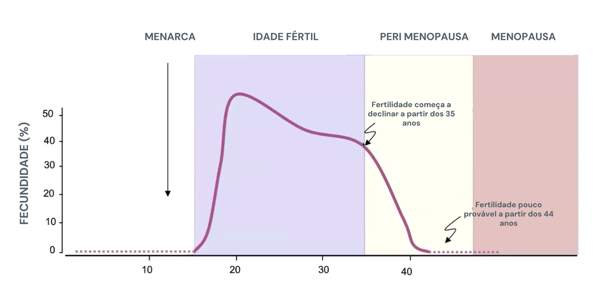 Gráfico ilustrativo da fertilidade ao longo das fases reprodutivas